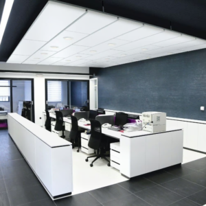 Acoustic Walls and Ceilings